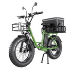 Freego 1000w 48V fat tire adult electric bike 15Ah/25Ah adult unisex electric Bicycle ebike  city commuting and cargo dual use