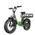 Freego 1000w 48V fat tire adult electric bike 15Ah/25Ah adult unisex electric Bicycle ebike  city commuting and cargo dual use