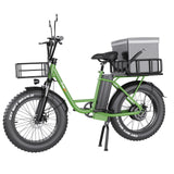 Freego 1000w 48V fat tire adult electric bike 15Ah/25Ah adult unisex electric Bicycle ebike  city commuting and cargo dual use