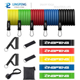 Elastic Fitness Bands Sport Equipment Gym Accessories Bodybuilding